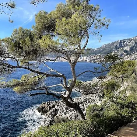 Jolie De Bord De La Cote D'azur Roquebrune-Cap-Martin